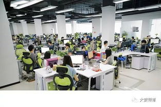 蘭州 在科技浪潮中尋覓軟件開(kāi)發(fā)之路